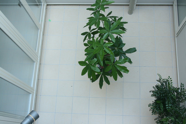 Img_6916_2 Img_6916_2